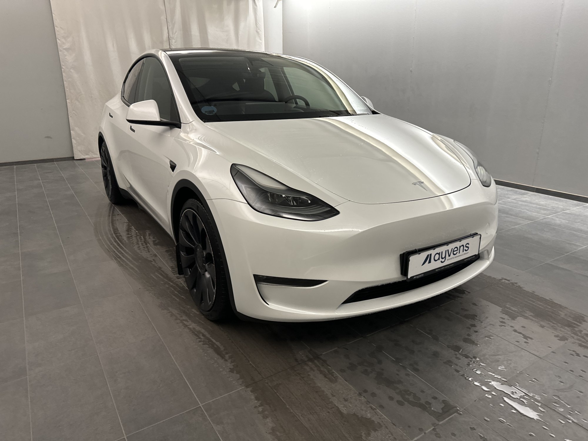 Tesla Model Y Performance