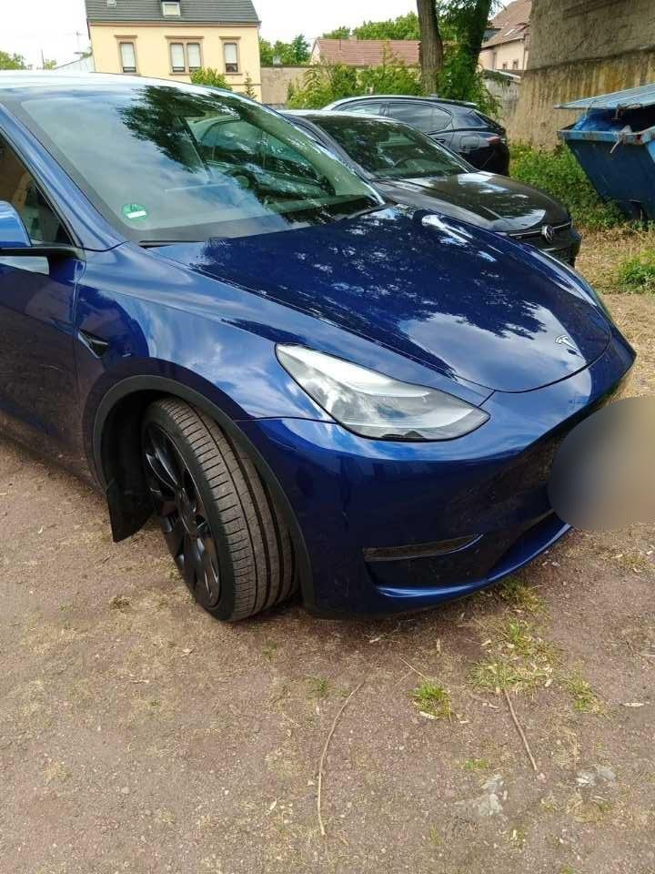 Tesla Model Y Performance