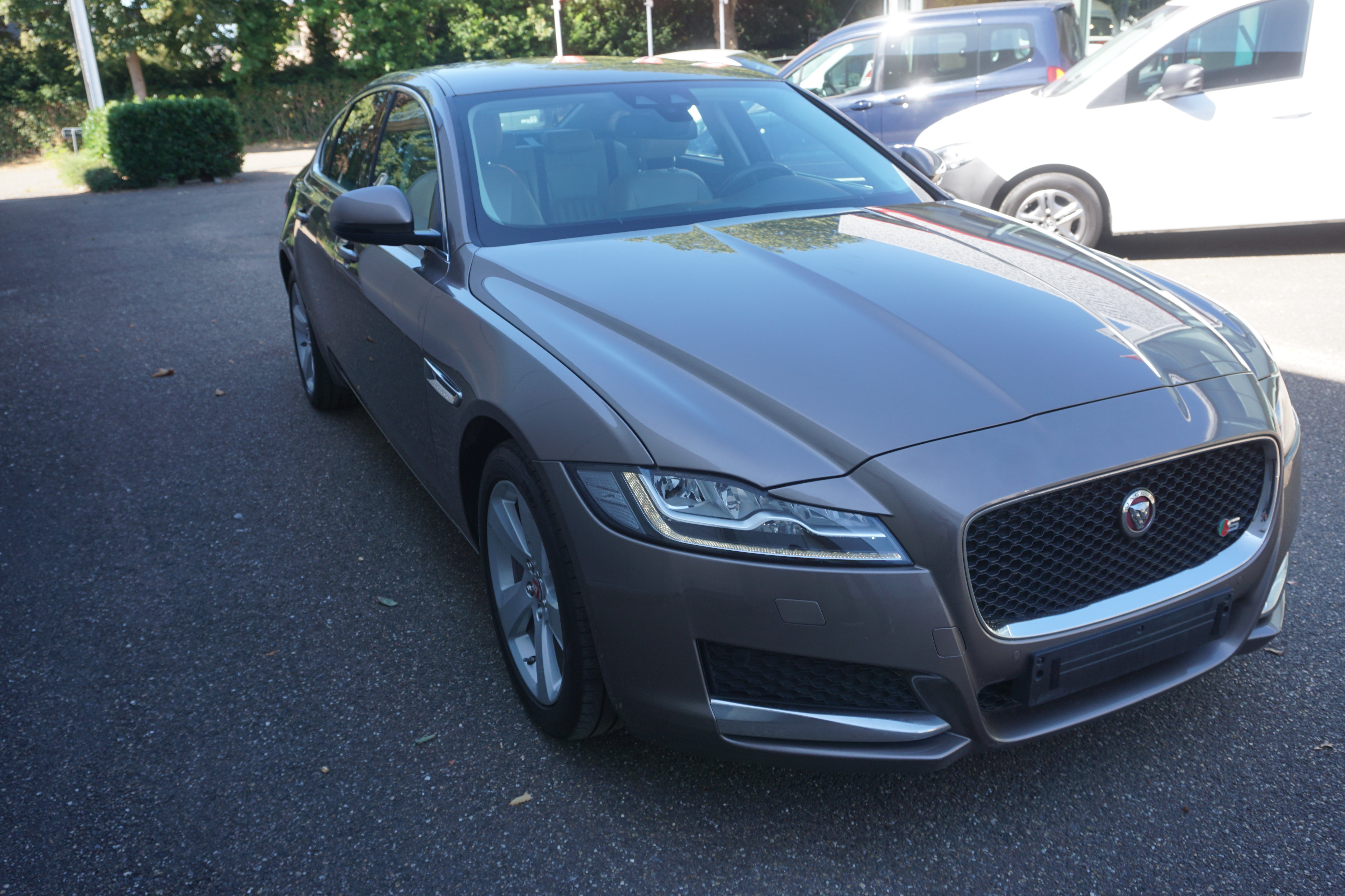 Jaguar XF