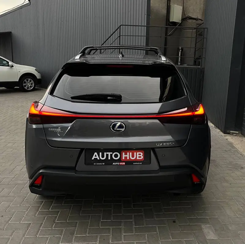 Lexus UX250h 2020 фото 6