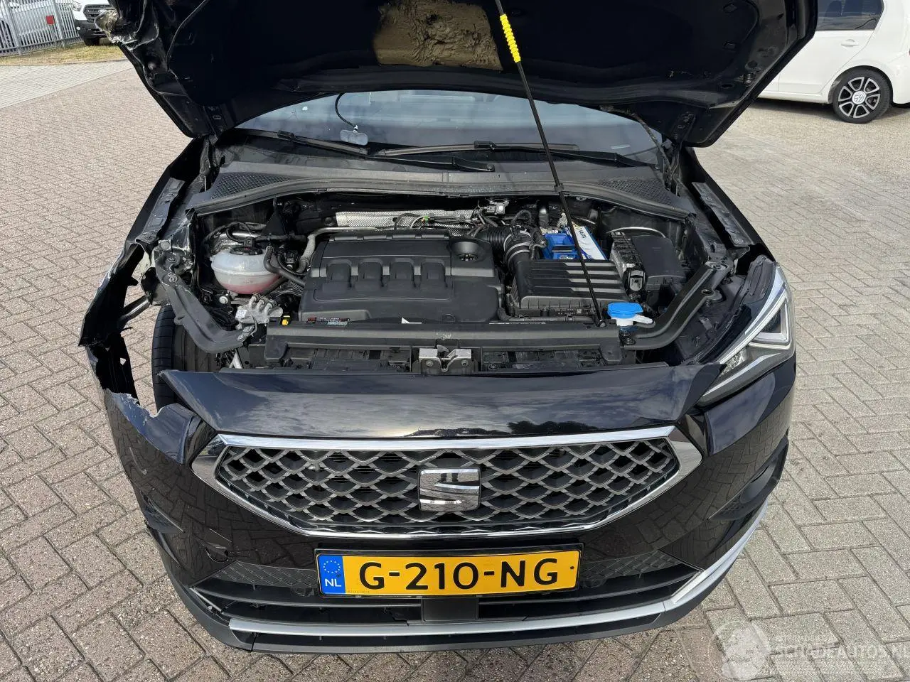 Seat Tarraco 2019 foto 11