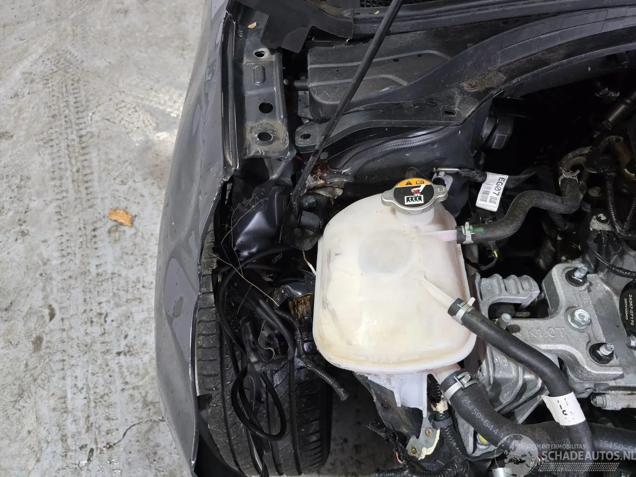 Kia Ceed 2022 photo 11