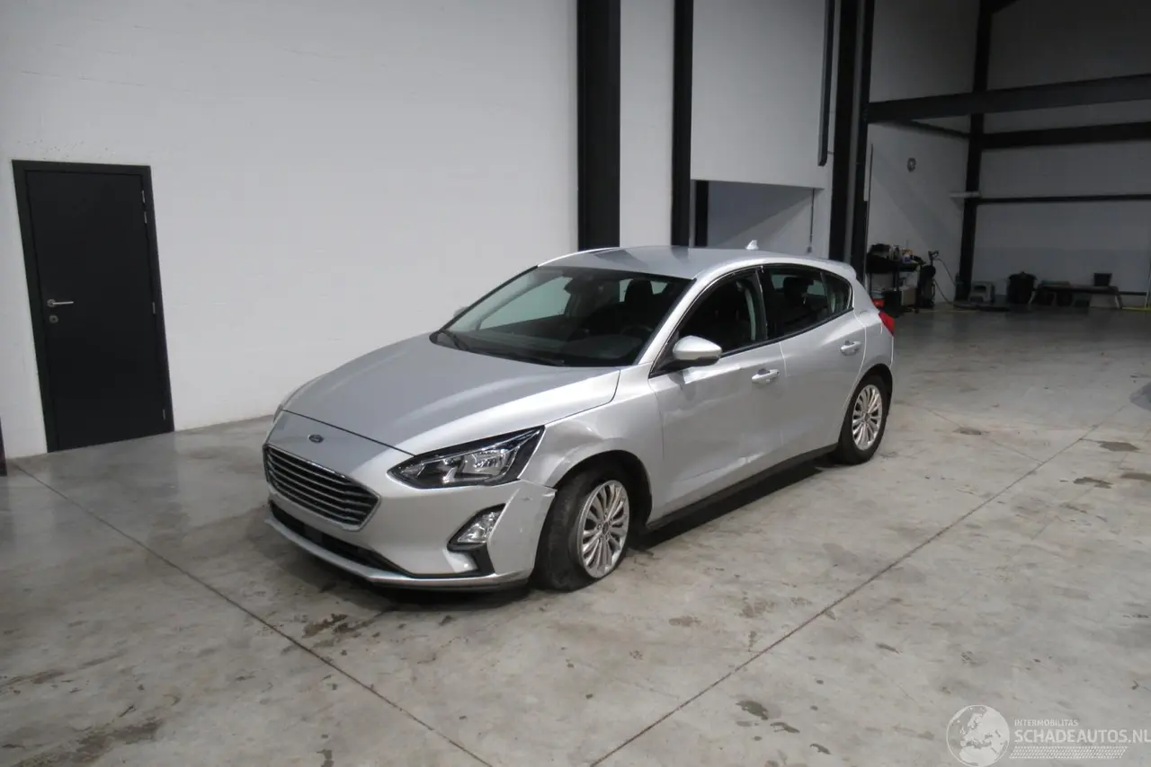 Ford Focus 2019 фото 1