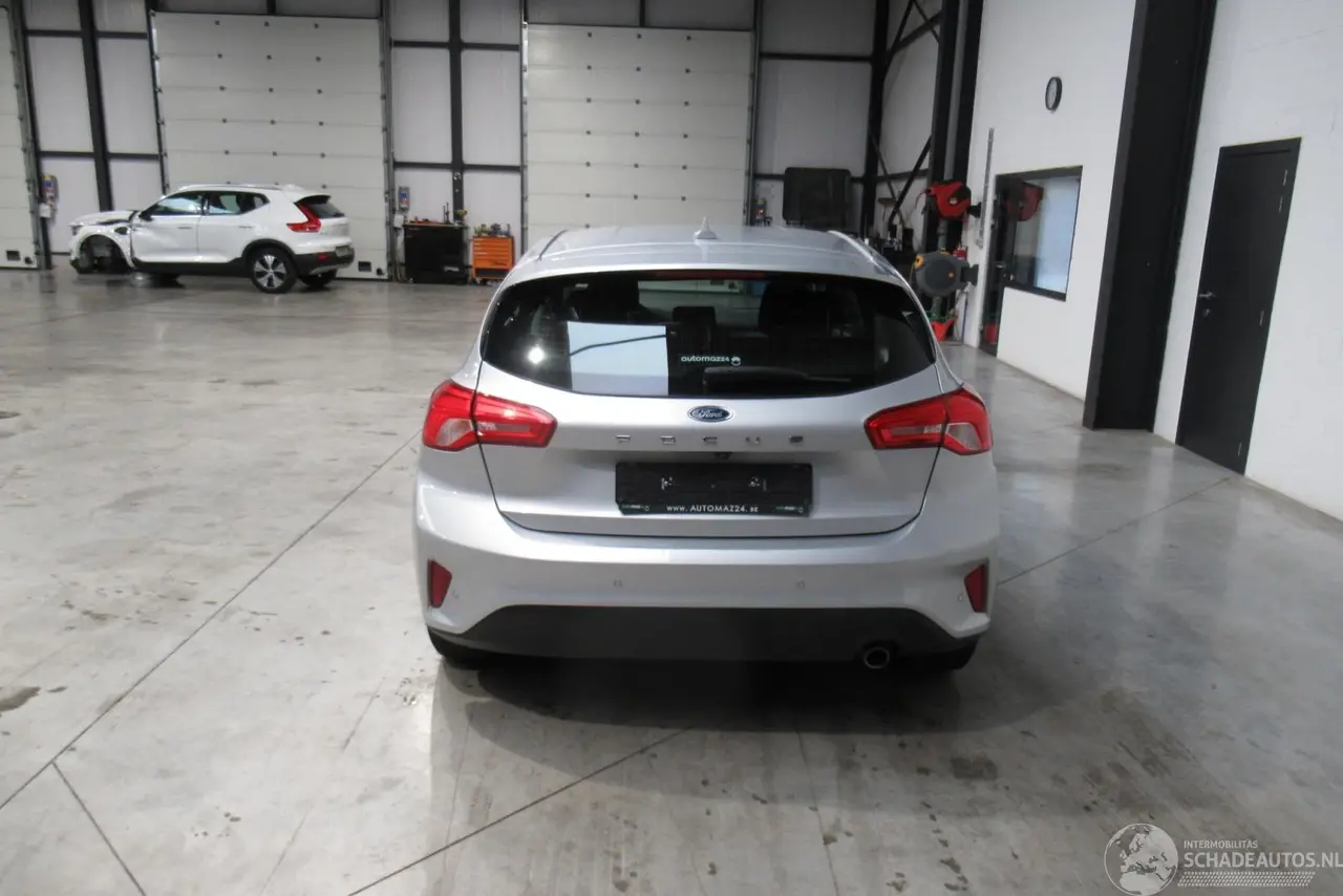 Ford Focus 2019 фото 4