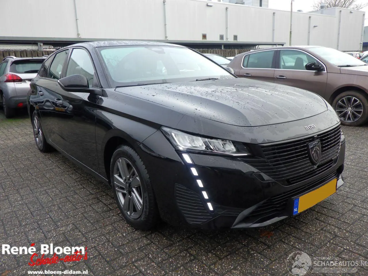 Peugeot 308 2024 фото 4