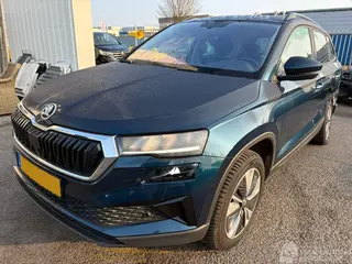 Skoda Karoq 2024 foto 1