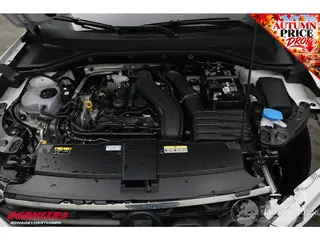 Volkswagen T-Roc 2024 photo 9