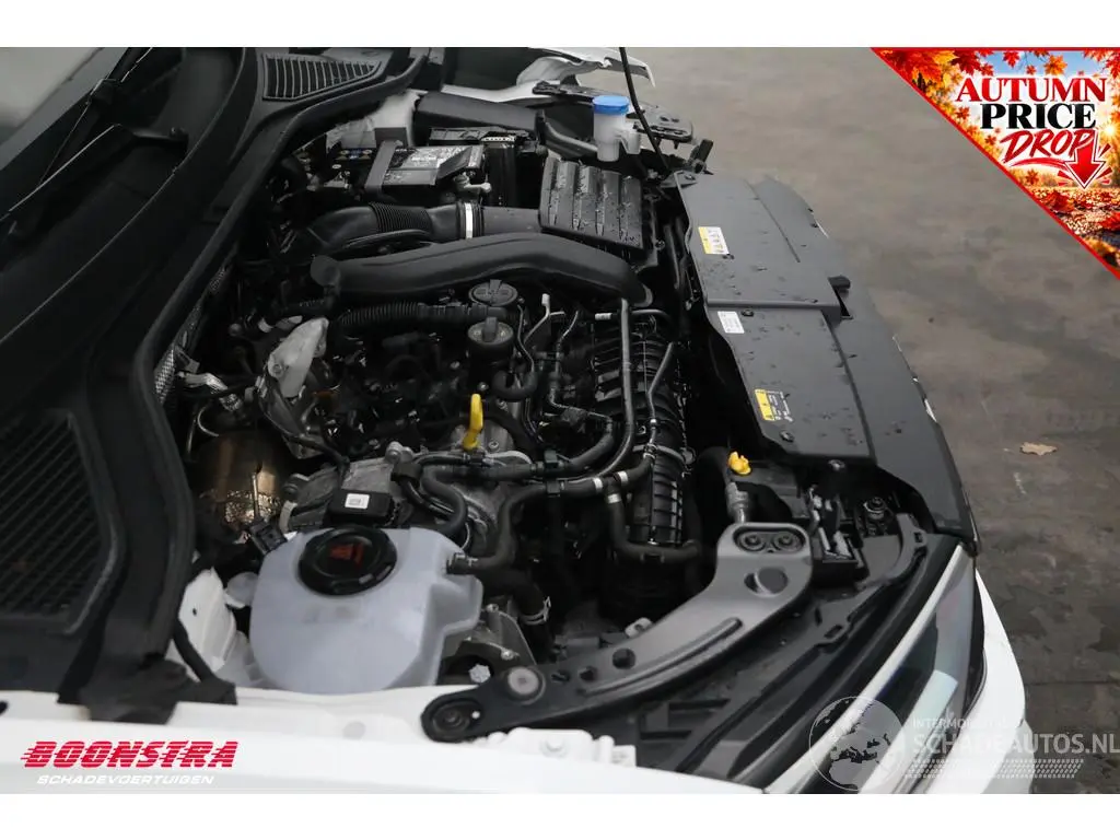 Volkswagen T-Roc 2024 photo 8