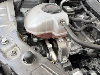 Skoda Kamiq 2025 фото 10