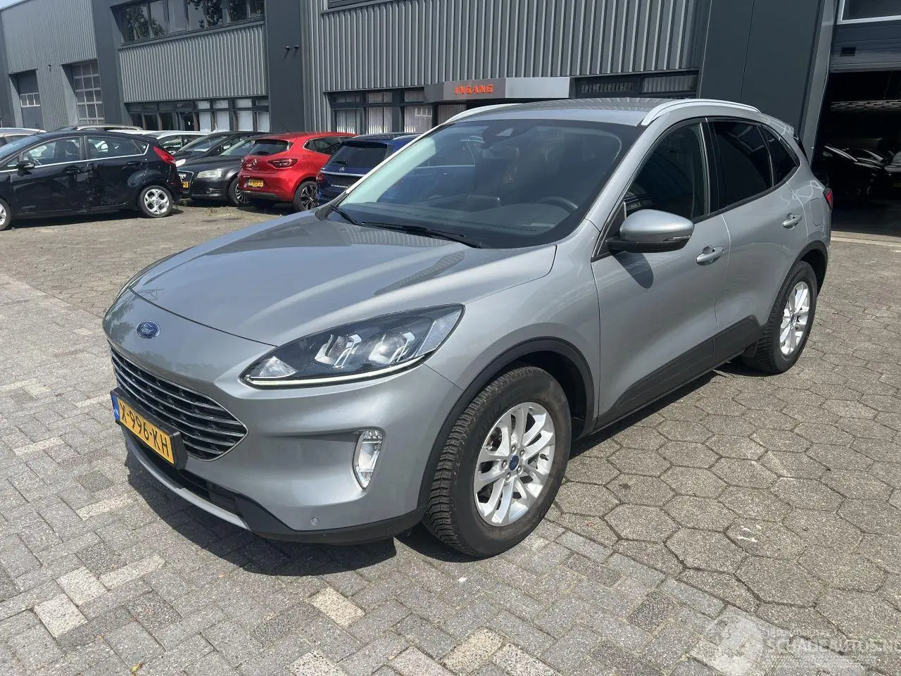 Ford Kuga 2022 фото 1