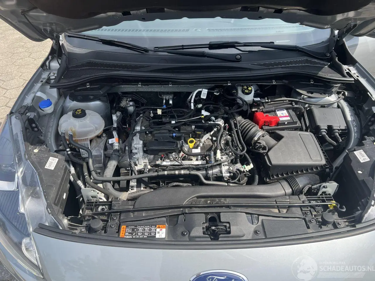 Ford Kuga 2022 фото 8