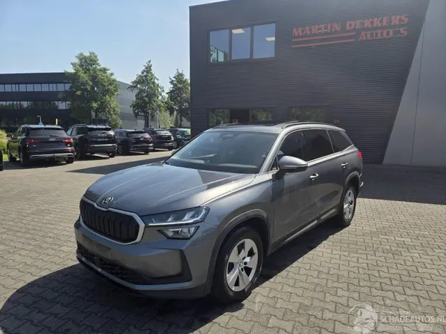 Skoda Kodiaq, 2024