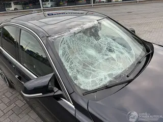 BMW 3-serie 2019 фото 9