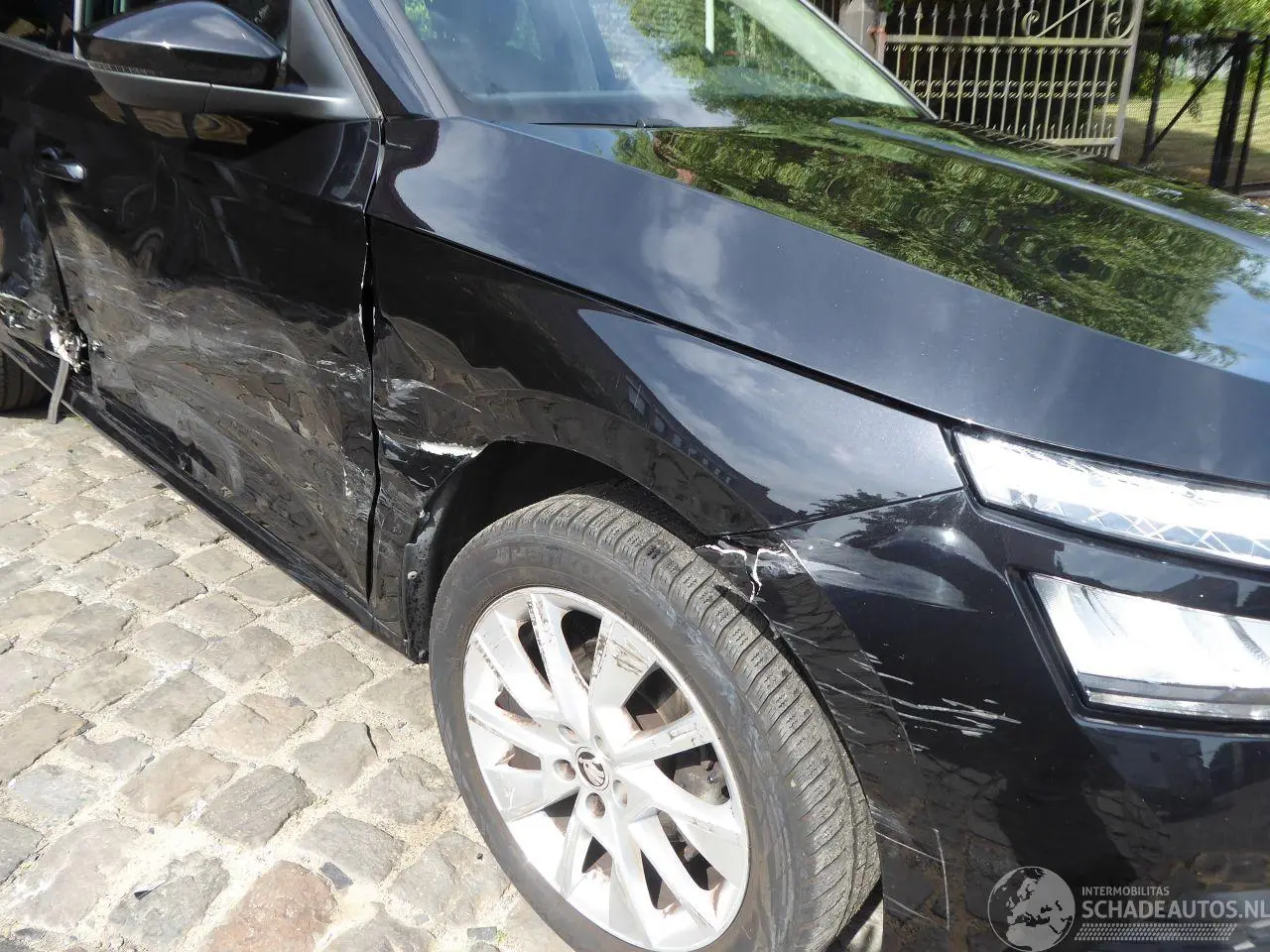Skoda Kamiq 2024 фото 4