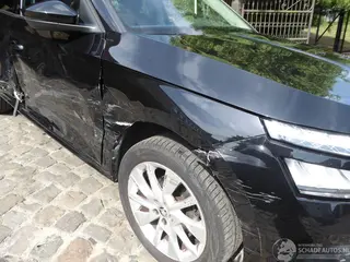 Skoda Kamiq 2024 фото 4