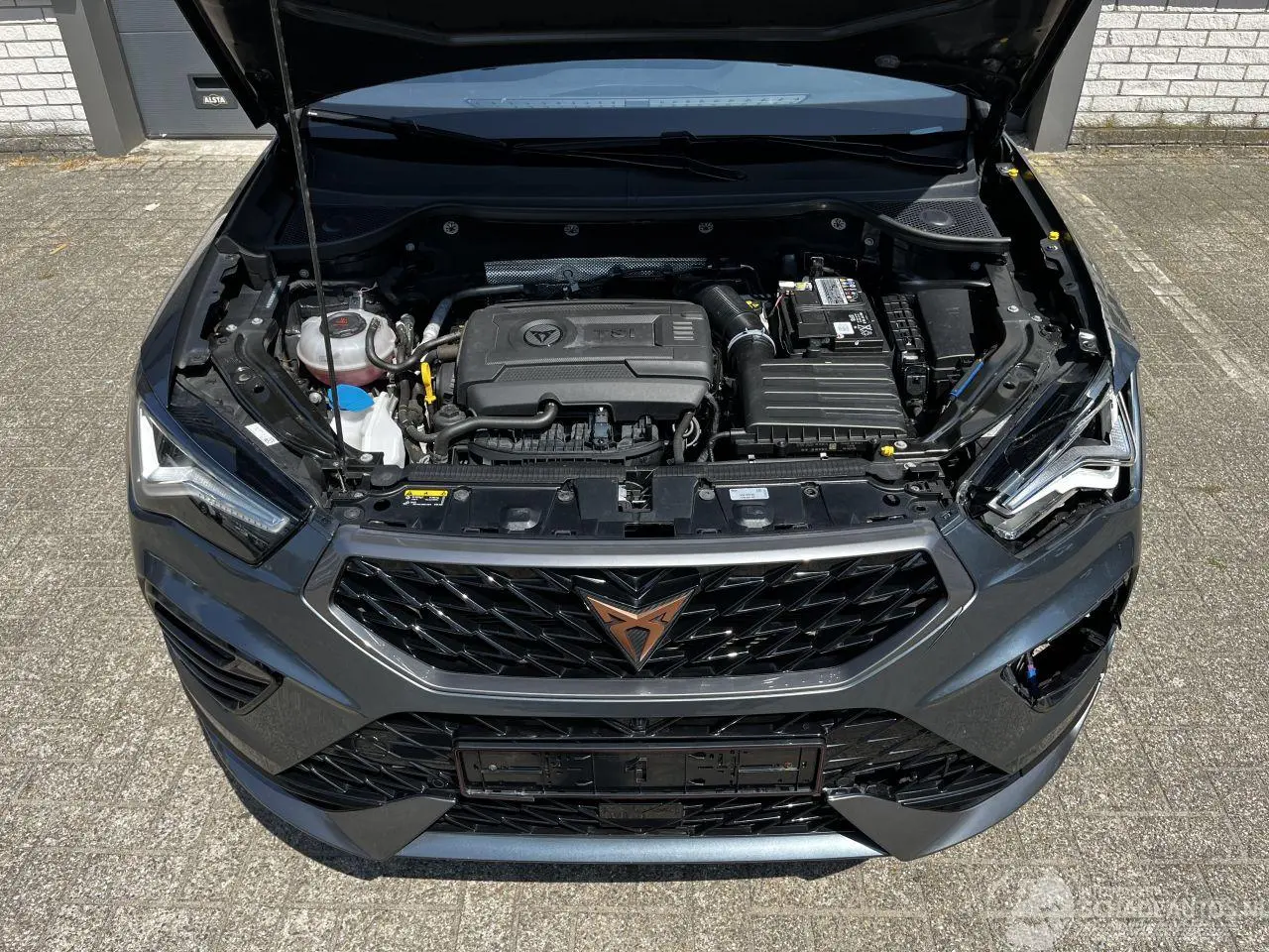 Cupra Ateca 2020 фото 7