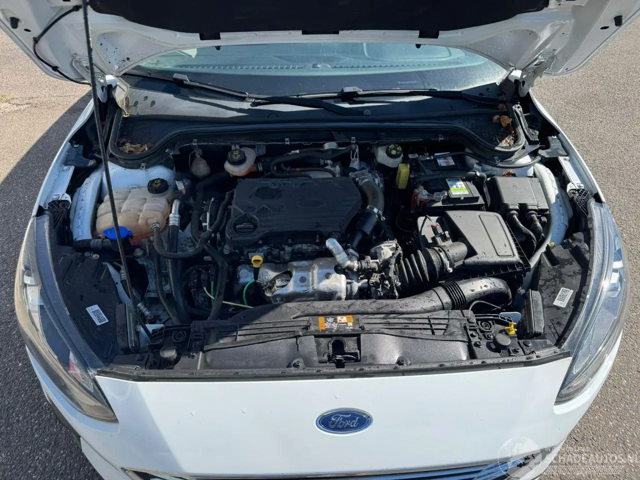 Ford Focus 2020 photo 7