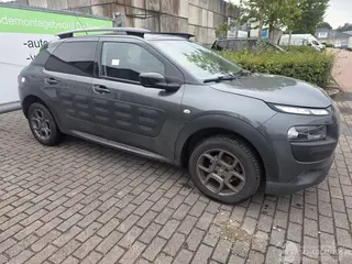 Citroën C4 cactus 2017 photo 9