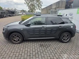 Citroën C4 cactus 2017 photo 5
