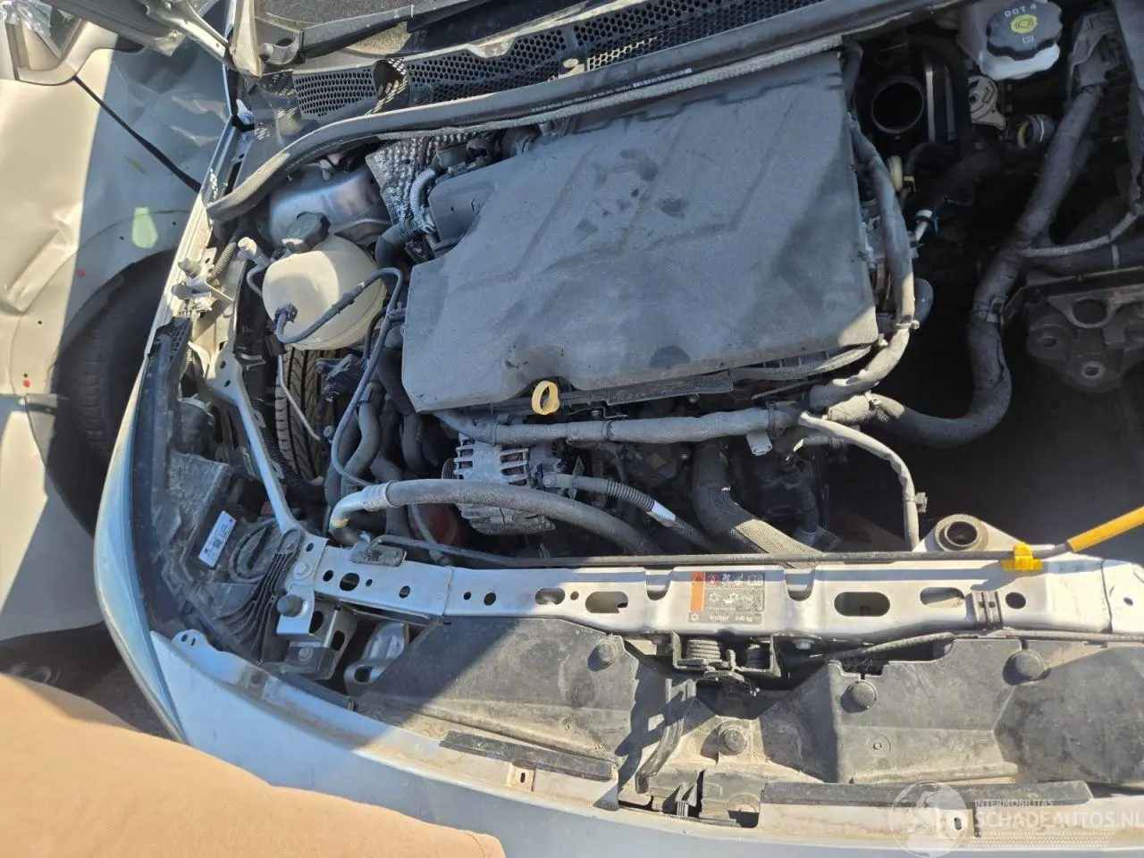 Opel Astra 2020 photo 21