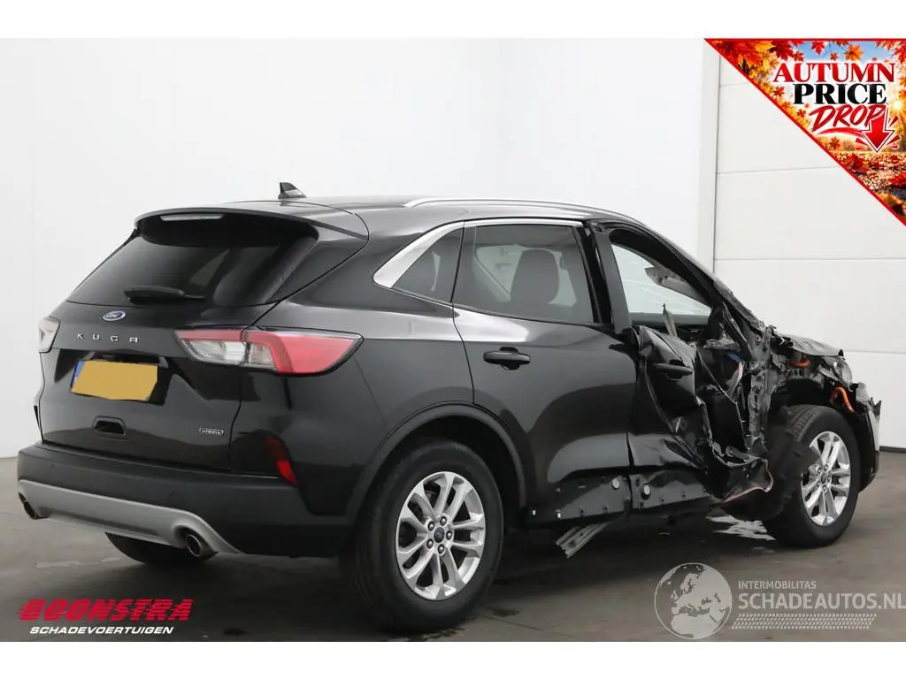 Ford Kuga 2022 фото 3