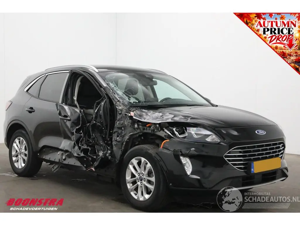 Ford Kuga 2022 фото 2