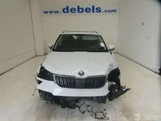 Skoda Karoq 2019 foto 1