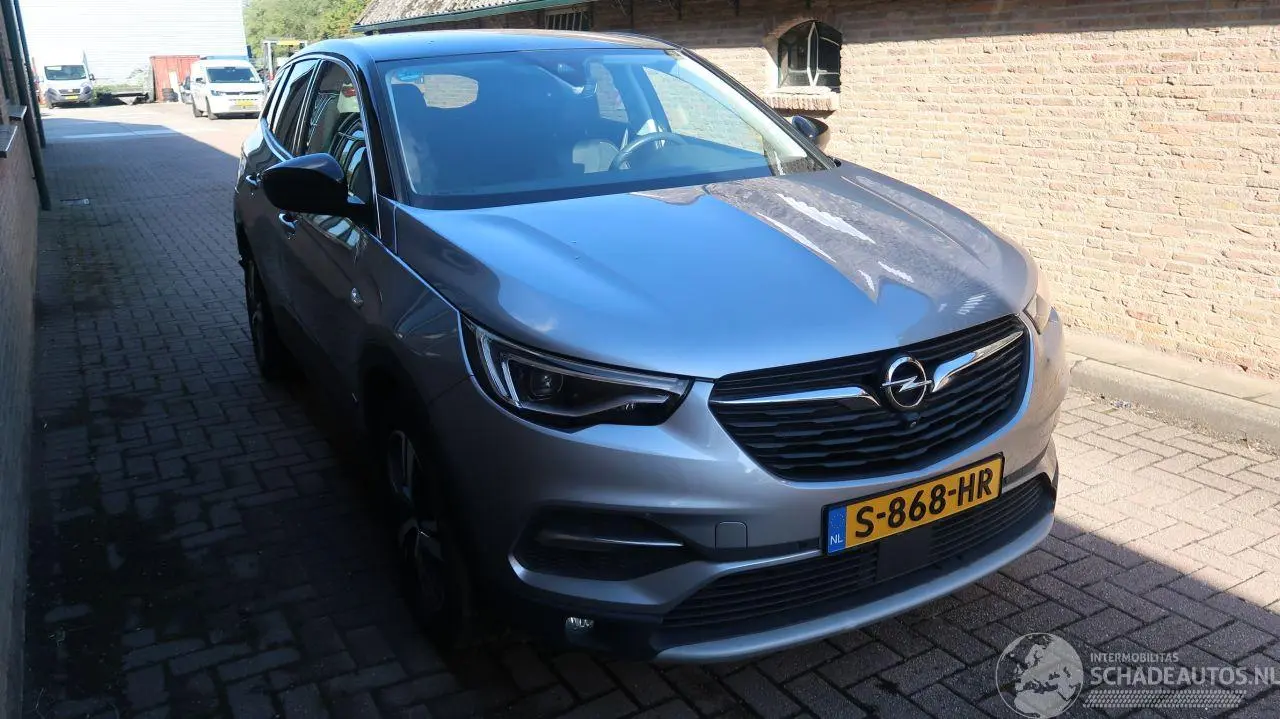 Opel Grandland 2021 фото 3