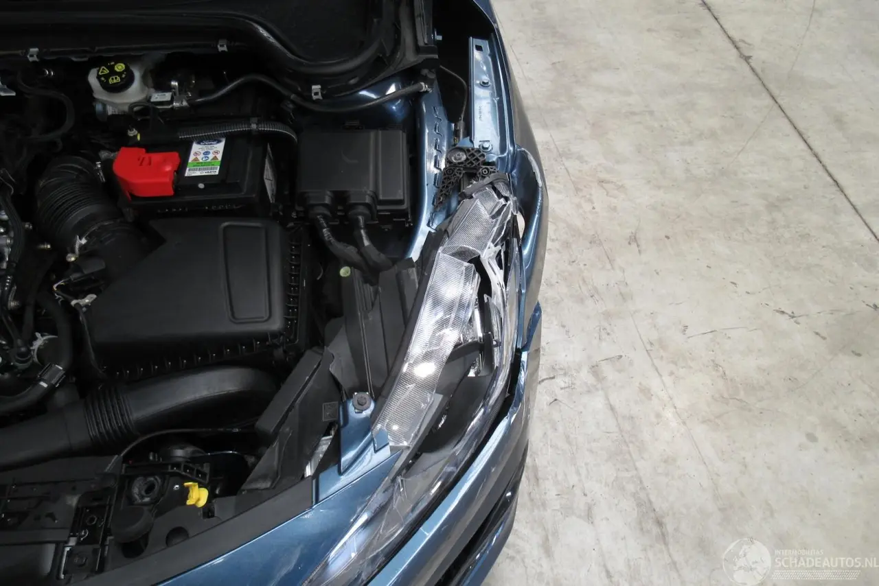 Ford Focus 2023 photo 11