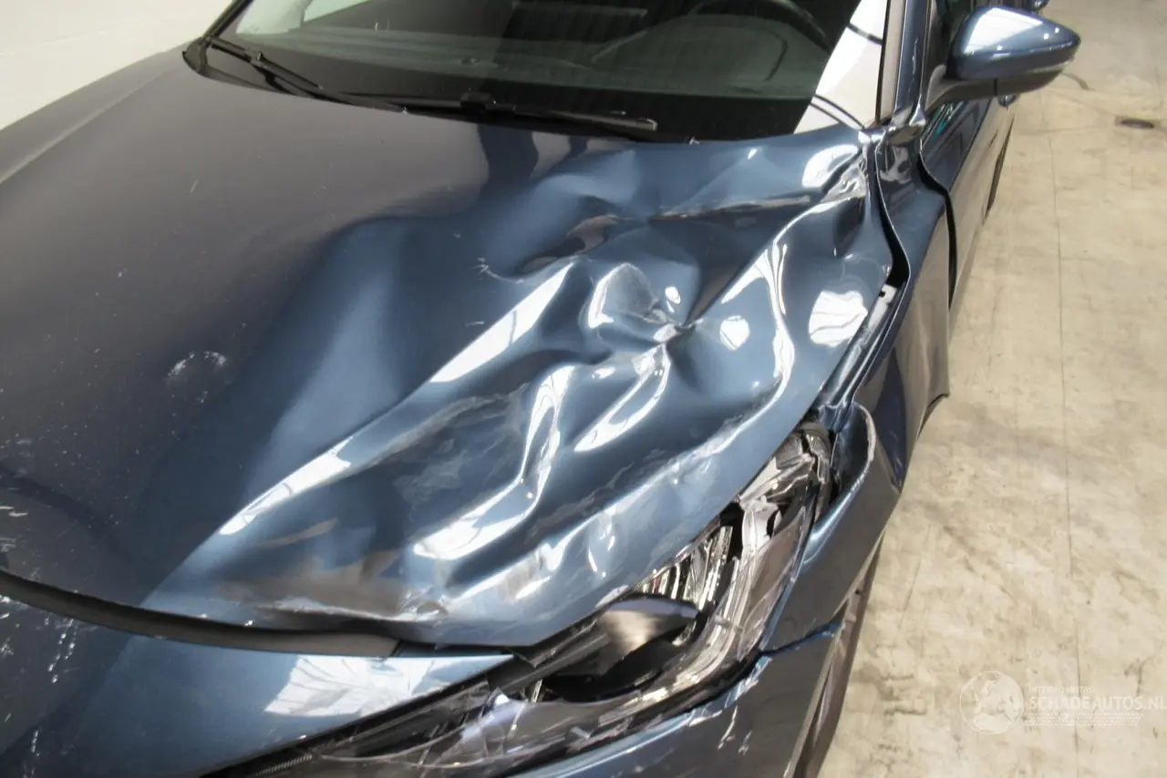 Ford Focus 2023 photo 8