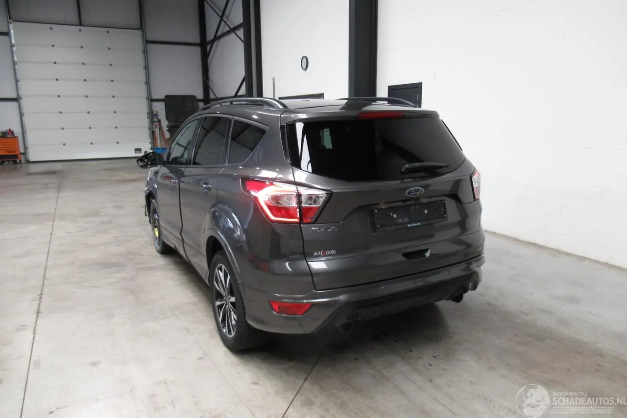 Ford Kuga 2019 фото 3