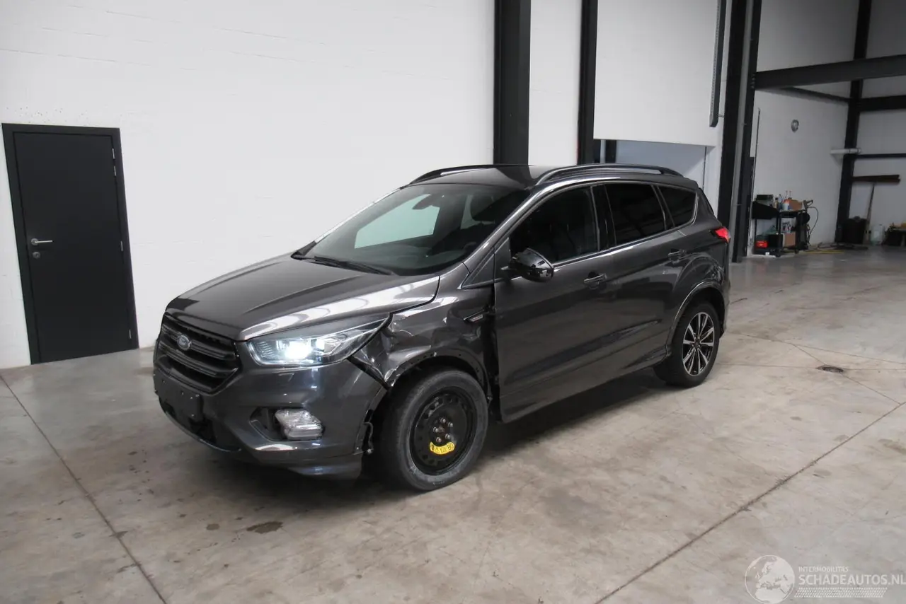 Ford Kuga 2019 фото 1