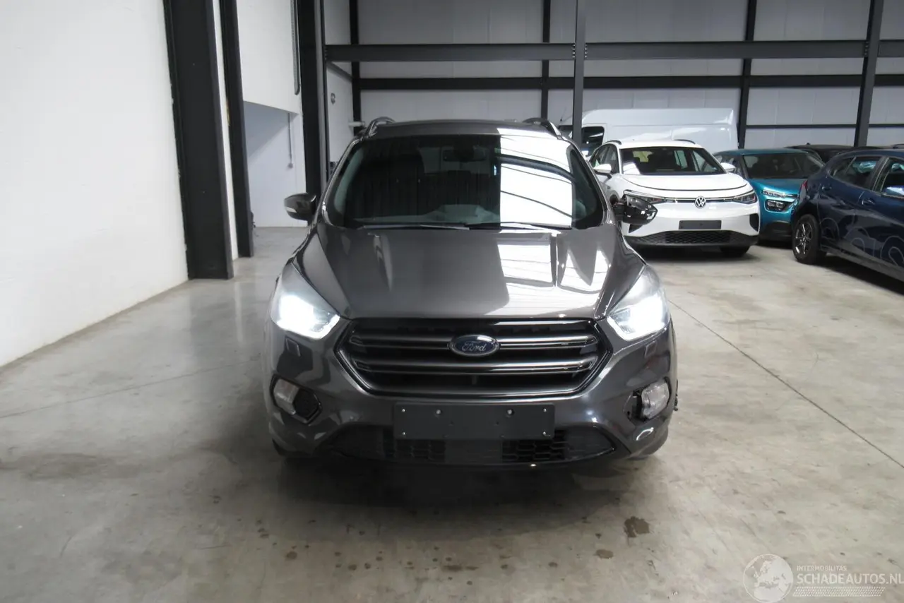 Ford Kuga 2019 фото 6