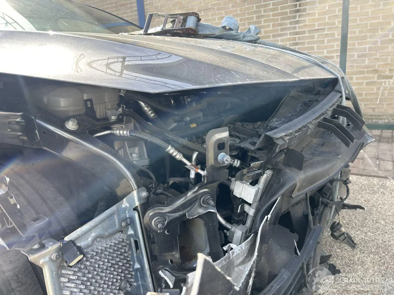 Ford Focus 2022 photo 6
