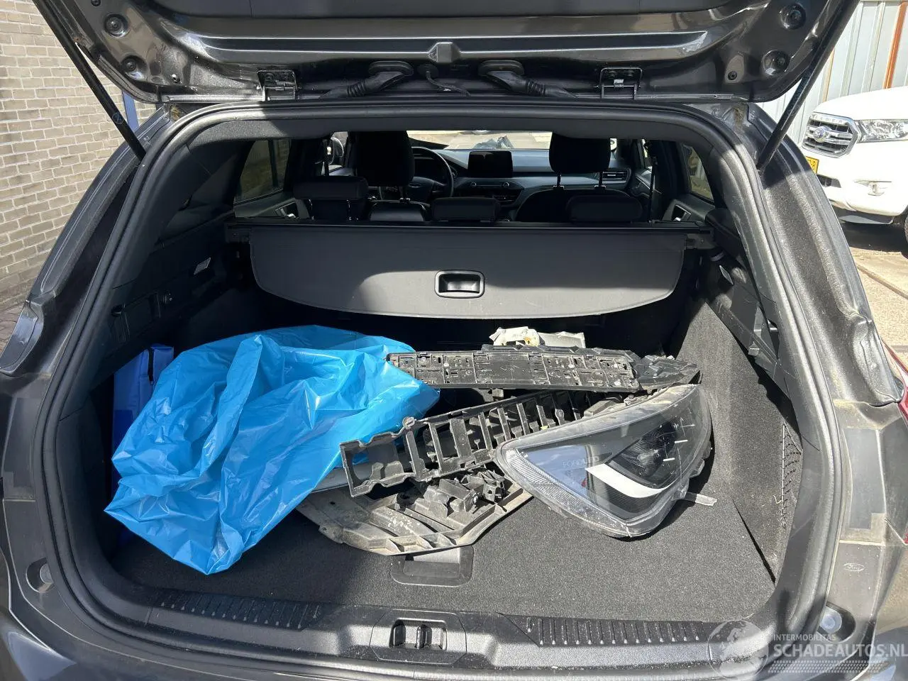 Ford Focus 2022 photo 11