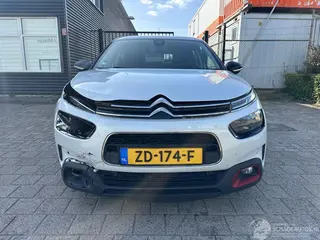 Citroën C4 cactus 2019 photo 2