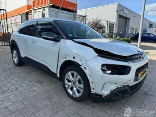 Citroën C4 cactus 2019 photo 1