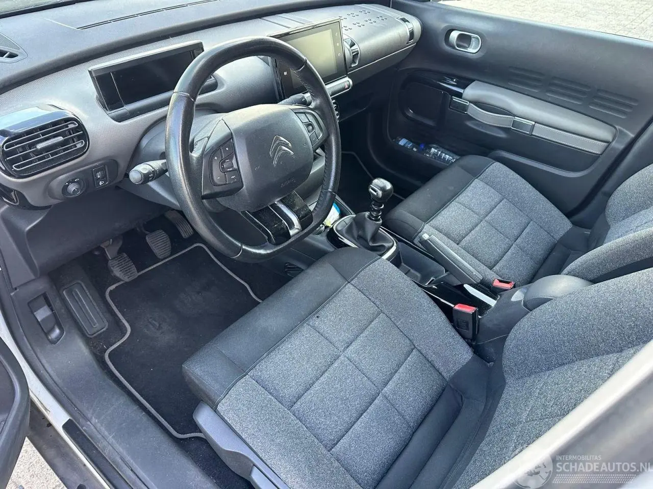 Citroën C4 cactus 2019 photo 8