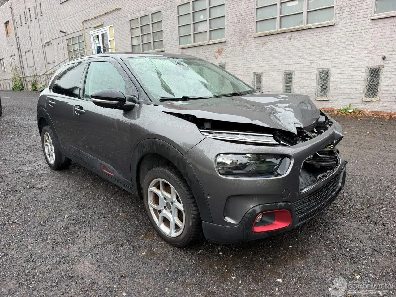 Citroën C4 cactus 2019 photo 2