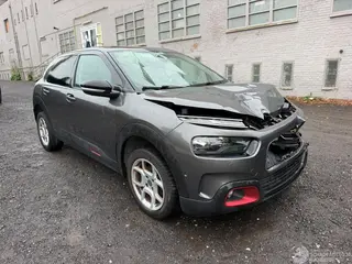 Citroën C4 cactus 2019 photo 2