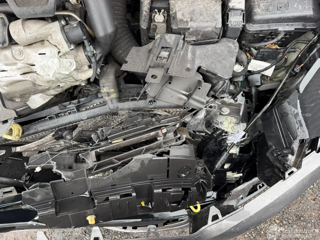 Citroën C4 cactus 2019 photo 6