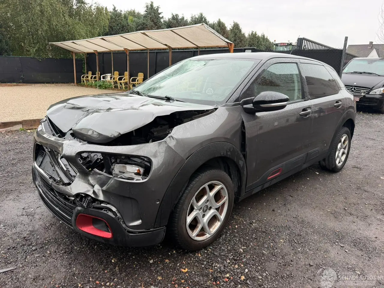 Citroën C4 cactus 2019 photo 11
