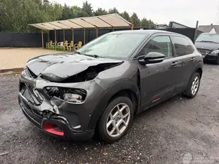 Citroën C4 cactus 2019 photo 11