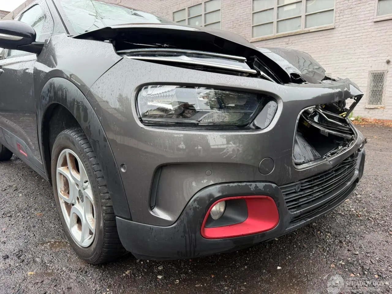 Citroën C4 cactus 2019 photo 3