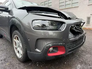 Citroën C4 cactus 2019 photo 3