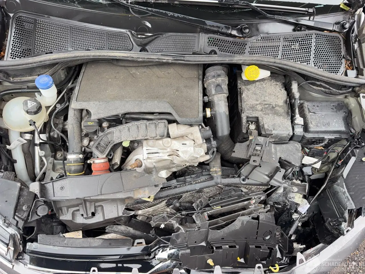 Citroën C4 cactus 2019 photo 5