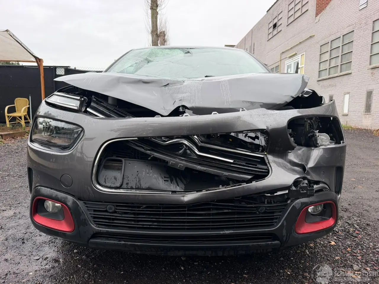 Citroën C4 cactus 2019 photo 4