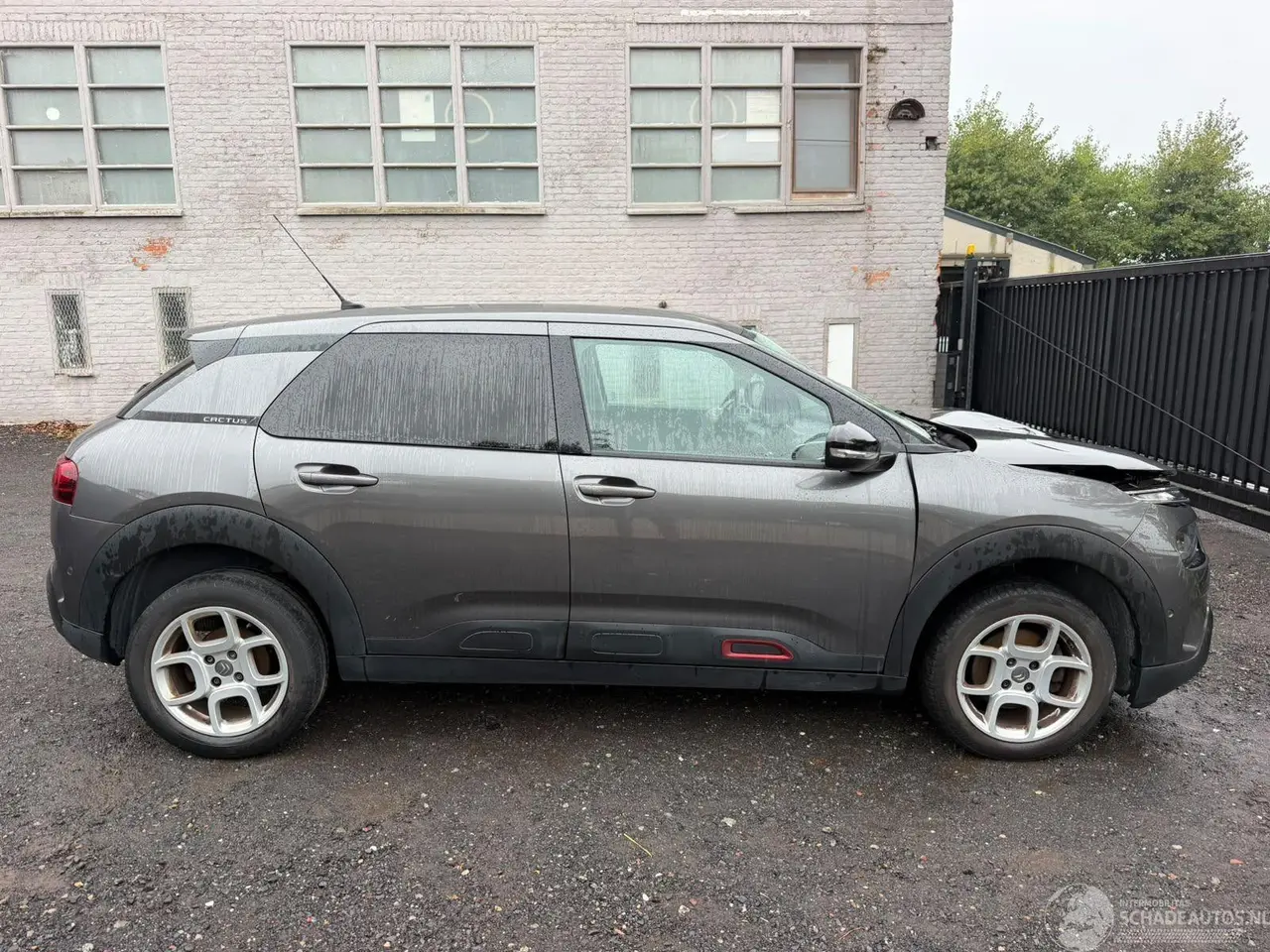 Citroën C4 cactus 2019 photo 1