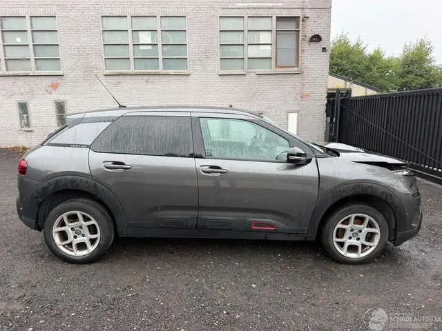 Citroën C4 cactus, 2019