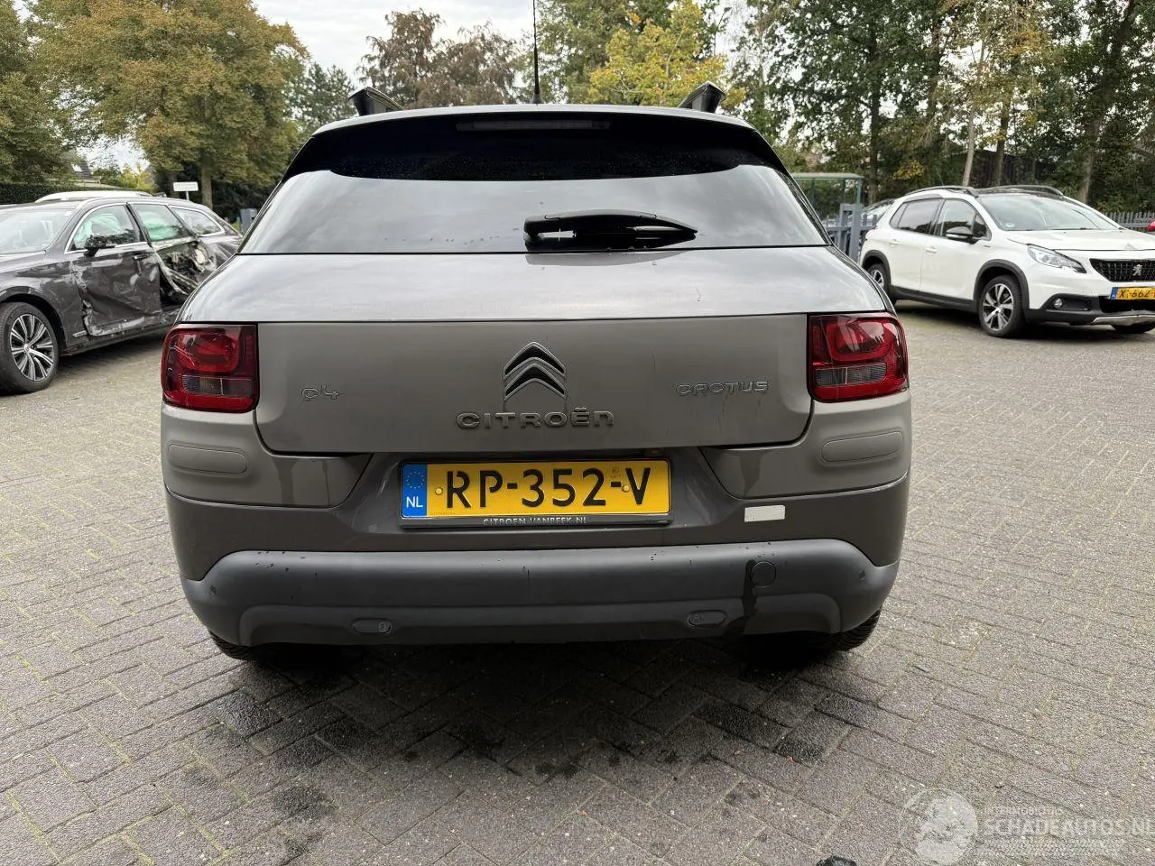 Citroën C4 cactus 2018 photo 4